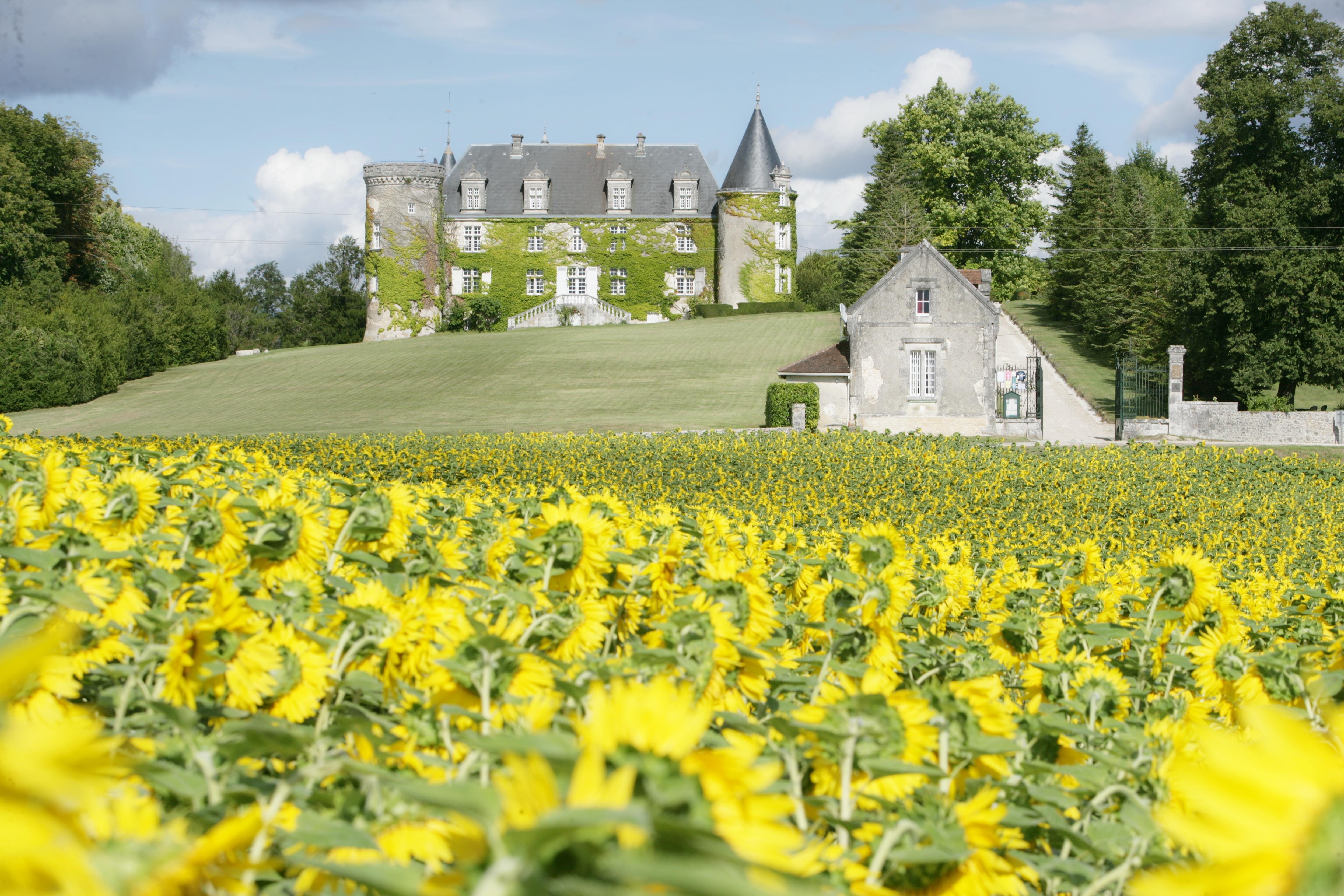 Biras Hotel & Spa Chateau De La Cote - Brantome מראה חיצוני תמונה
