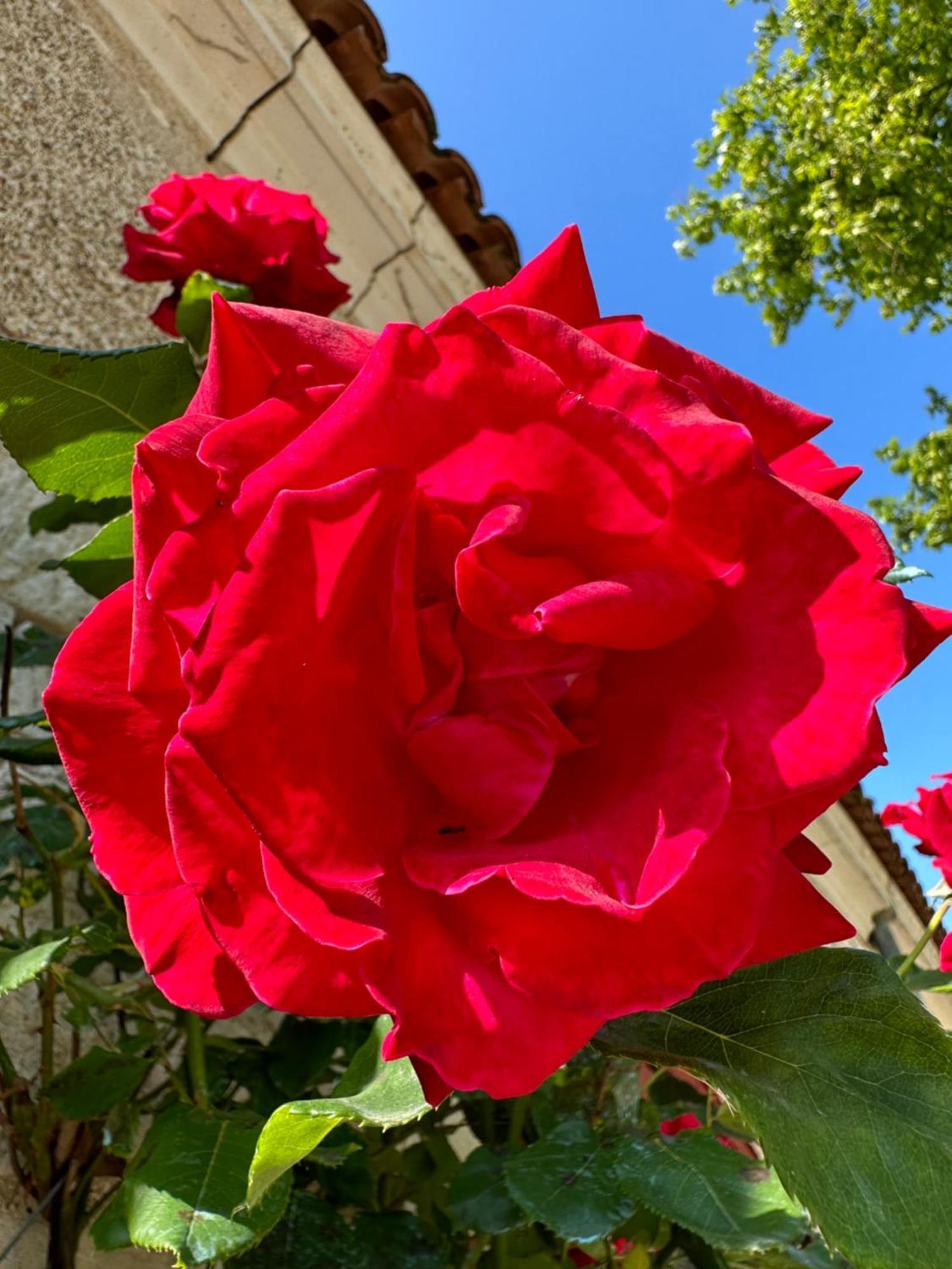Biras Hotel & Spa Chateau De La Cote - Brantome מראה חיצוני תמונה